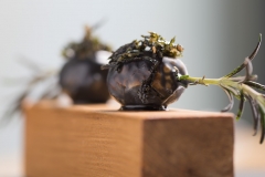 LaPaceDelPalato_Food_06
